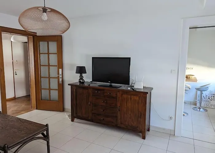 Appartement Plein Centre Saint Die Des Vosges